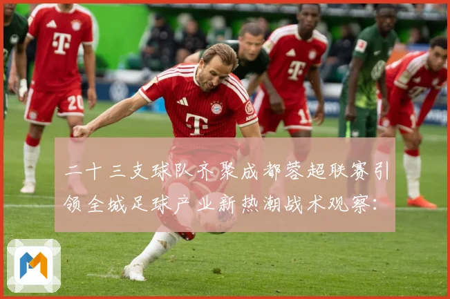 二十三支球队齐聚成都蓉超联赛引领全城足球产业新热潮战术观察：最新赛事动态与深度分析